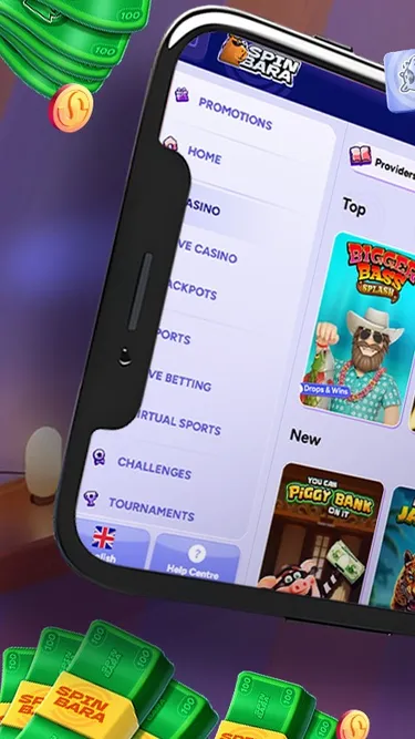 SPIN BARA Screenshot